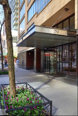 250 East 53Rd Street 706 In Midtown East, New York