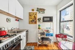 20 Clinton Street 5C In Lower East Side, New York