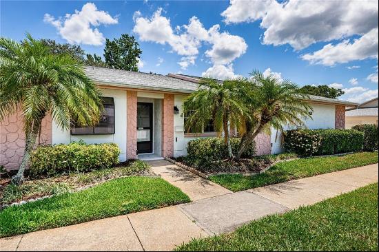 3420 Stonehaven Court E D, PALM HARBOR, FL, 34684