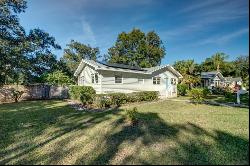 6604 North Elizabeth Street, TAMPA, FL, 33604