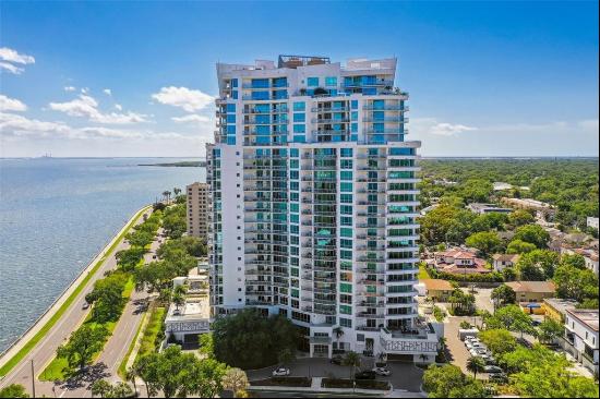 3401 Bayshore Boulevard 2102, TAMPA, FL, 33629