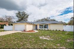 13344 Sorrento Drive, LARGO, FL, 33774