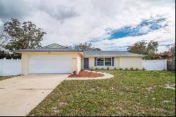 13344 Sorrento Drive, LARGO, FL, 33774