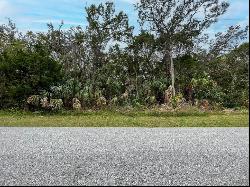 Lot 53 Gulf Way, HUDSON, FL, 34667