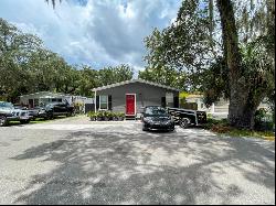 9304 Ashley Oaks Court, TAMPA, FL, 33610