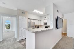 2010 East Palm Avenue 14316, TAMPA, FL, 33605