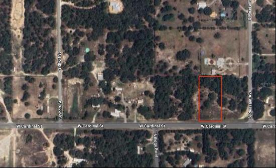 4787 West Cardinal Street, HOMOSASSA, FL, 34446