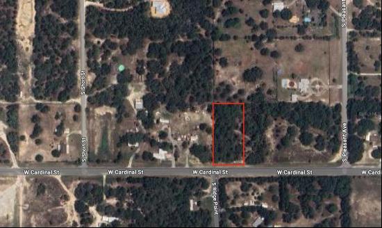 4849 West Cardinal Street, HOMOSASSA, FL, 34446