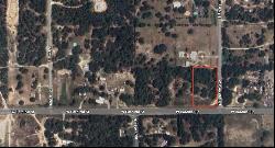 6720 South Pleasant Avenue, HOMOSASSA, FL, 34446