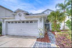 10538 Lucaya Drive, TAMPA, FL, 33647