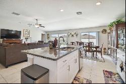 13603 Wild Ginger Street, RIVERVIEW, FL, 33579