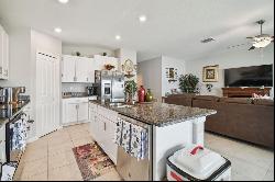 13603 Wild Ginger Street, RIVERVIEW, FL, 33579