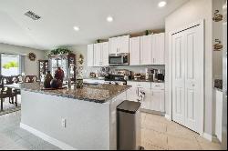 13603 Wild Ginger Street, RIVERVIEW, FL, 33579