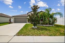 13603 Wild Ginger Street, RIVERVIEW, FL, 33579