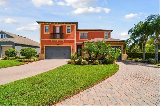 28765 Tavira Court, WESLEY CHAPEL, FL, 33543