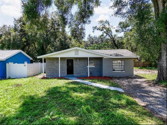 1709 East Sitka Street, TAMPA, FL, 33604