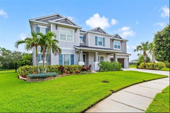 33668 Willow Point Court, WESLEY CHAPEL, FL, 33545