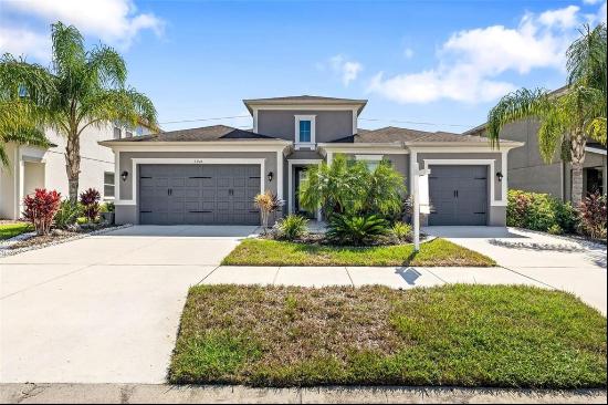 33310 Azalea Ridge Drive, WESLEY CHAPEL, FL, 33545