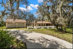 6718 Watson Road, RIVERVIEW, FL, 33578