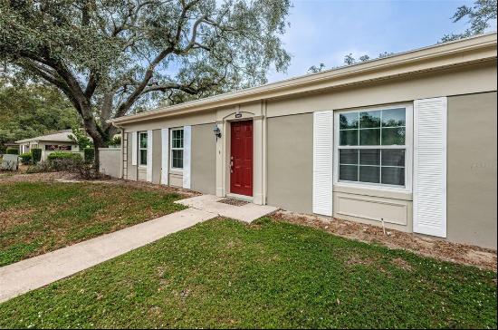 6265 Dewdrop Way, TEMPLE TERRACE, FL, 33617