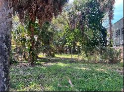 407 South Delaware Avenue Lot 4, TAMPA, FL, 33606