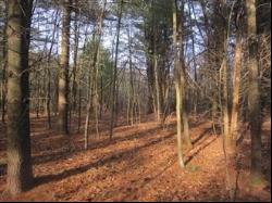 Lot 1 Marion St, Rehoboth, MA 02769