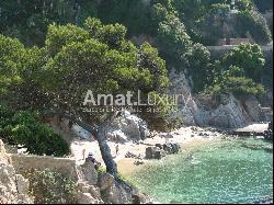 GIRONA, LLORET DE MAR,  Tortuga