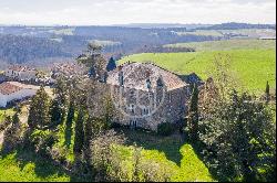 Albi, 81190, France