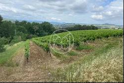 Limoux, 11300, France