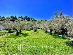 Sporades-Skopelos Magnisia