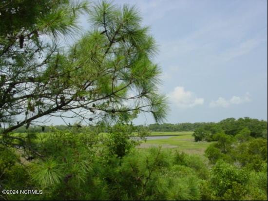 Bald Head Island