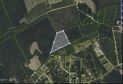 13.12 Ac Near 4967 Maultsby Road NE