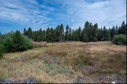 51596 Dorrance Meadow Road La Pine, OR 97739