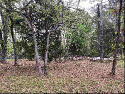 lot 5 Lakeview Dr.