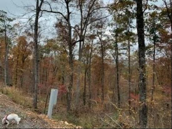 Lot 31 Moonshiner Springs Trail