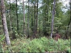 Lot 31 Moonshiner Springs Trail