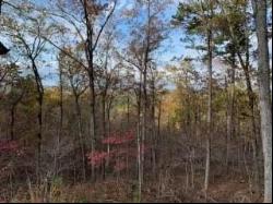 Lot 31 Moonshiner Springs Trail