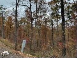 Lot 31 Moonshiner Springs Trail