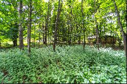 537 Vosburg Road, Webster, NY 14580