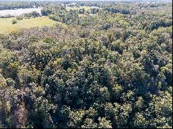 Lot 4 County Road 224, Dutton, AL 35744