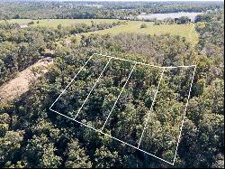 Lot 4 County Road 224, Dutton, AL 35744