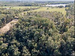 Lot 4 County Road 224, Dutton, AL 35744