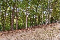 Prime 0.76+/- Acre Lot Nestled in Secluded Lakeside Neighborhood on Lake Lanier