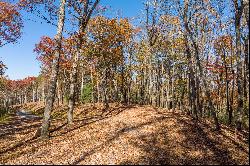 Ridge Top View Homesite in Anderson Creek Retreat