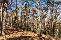 Ridge Top View Homesite in Anderson Creek Retreat