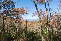 Ridge Top View Homesite in Anderson Creek Retreat