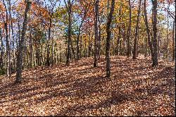 Ridge Top View Homesite in Anderson Creek Retreat