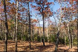 Ridge Top View Homesite in Anderson Creek Retreat