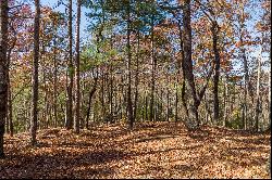 Ridge Top View Homesite in Anderson Creek Retreat