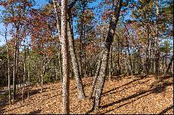 Ridge Top View Homesite in Anderson Creek Retreat